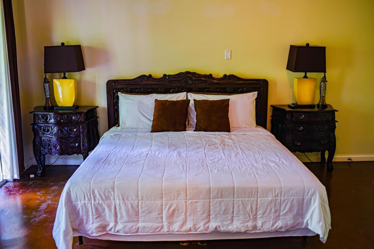 Blue Paloma Bed and breakfast