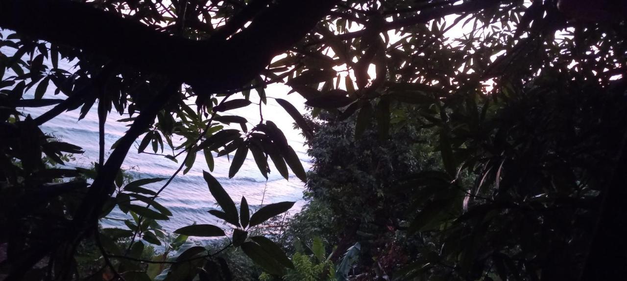 Apartment Treehouse Above The Port Antonio