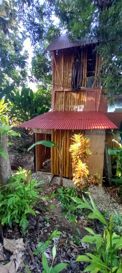 Apartment Treehouse Above The
