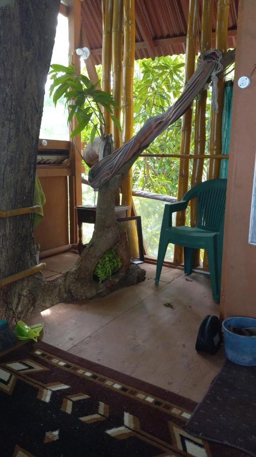 Apartment Treehouse Above The Port Antonio