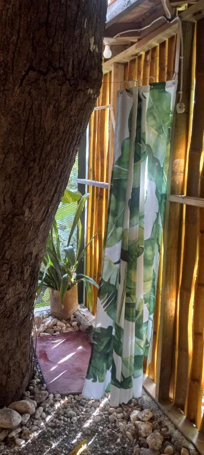 Treehouse Above The Apartment *