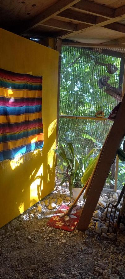 Apartment Treehouse Above The *