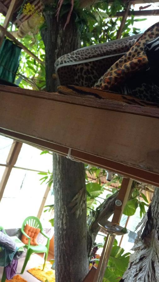 Treehouse Above The Port Antonio