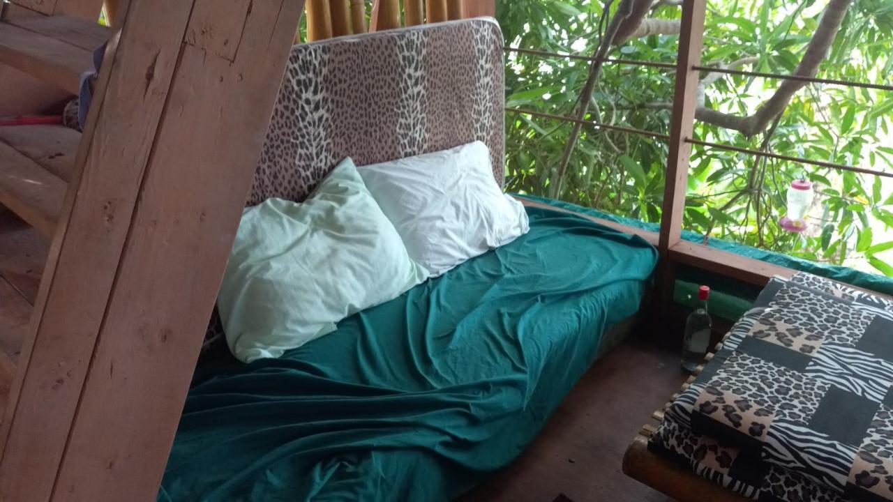 Apartment Treehouse Above The Port Antonio