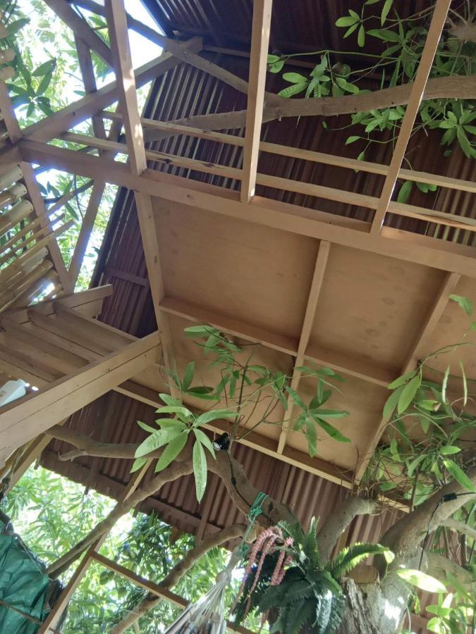 Treehouse Above The *