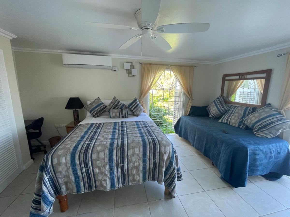 Hummingbird Retreat - Luxury Oceanview Apt, 7-minute Walk To Apartment Ocho Rios