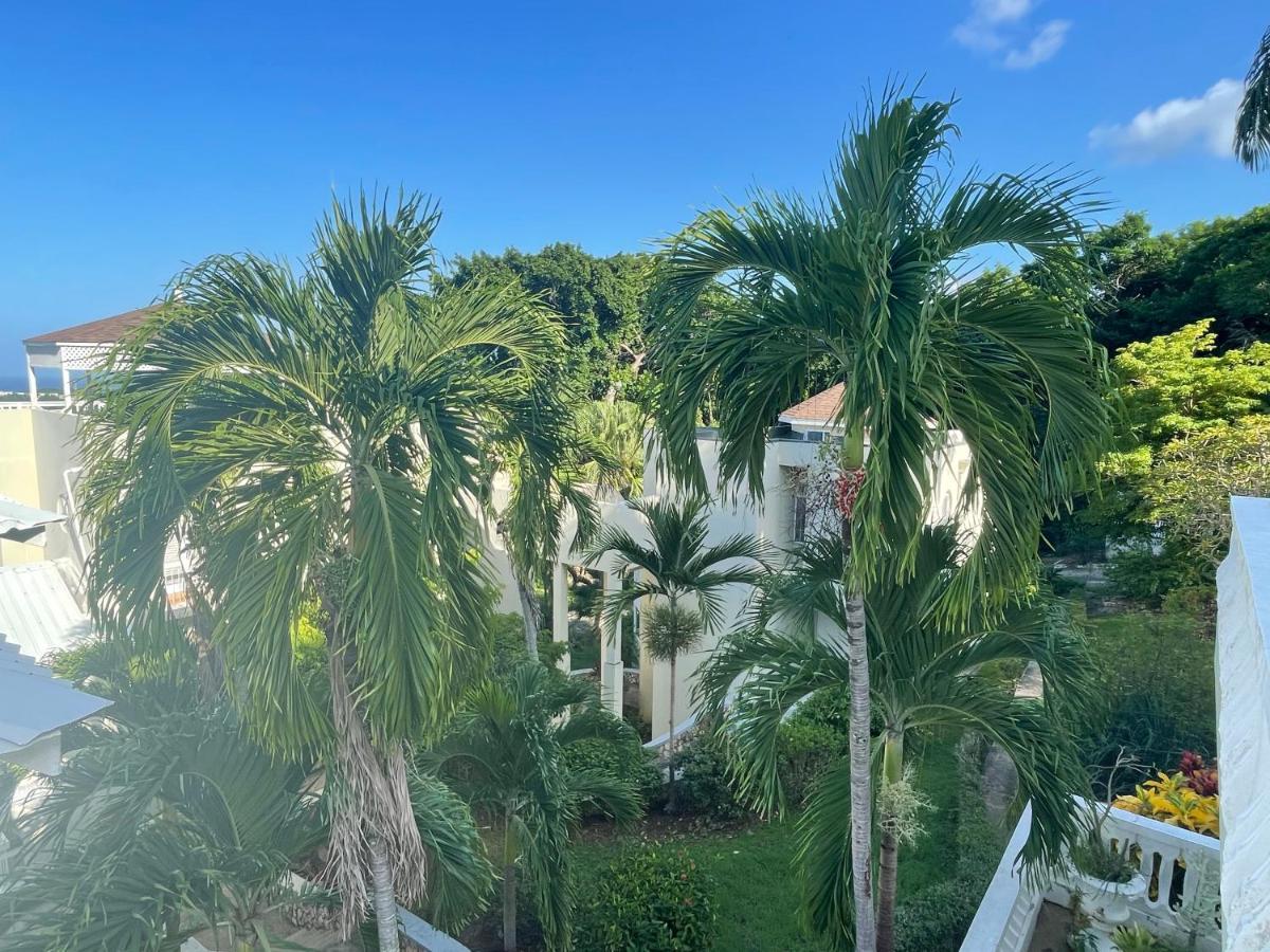 Apartment Hummingbird Retreat - Luxury Oceanview Apt, 7-minute Walk To *