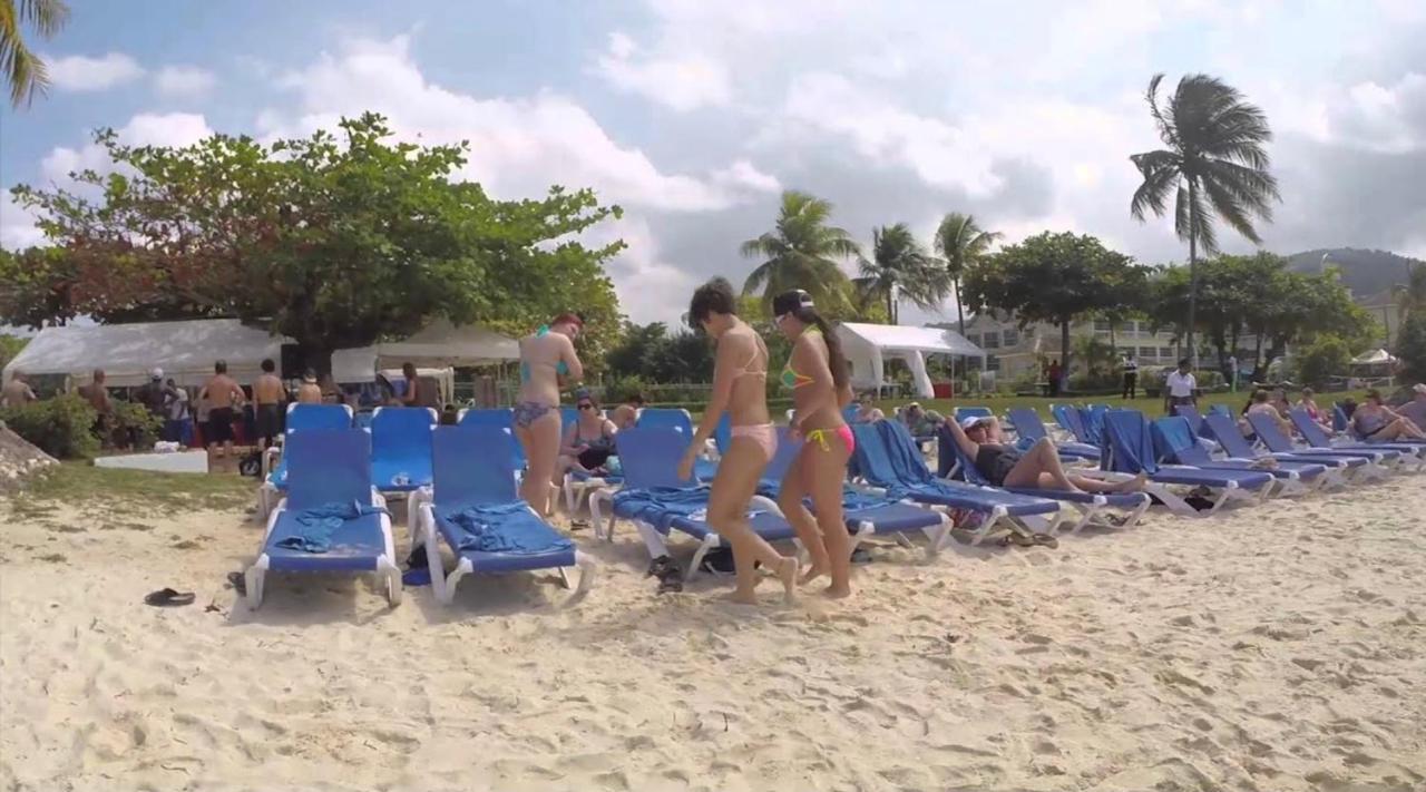 Hummingbird Retreat - Luxury Oceanview Apt, 7-minute Walk To Apartment Ocho Rios