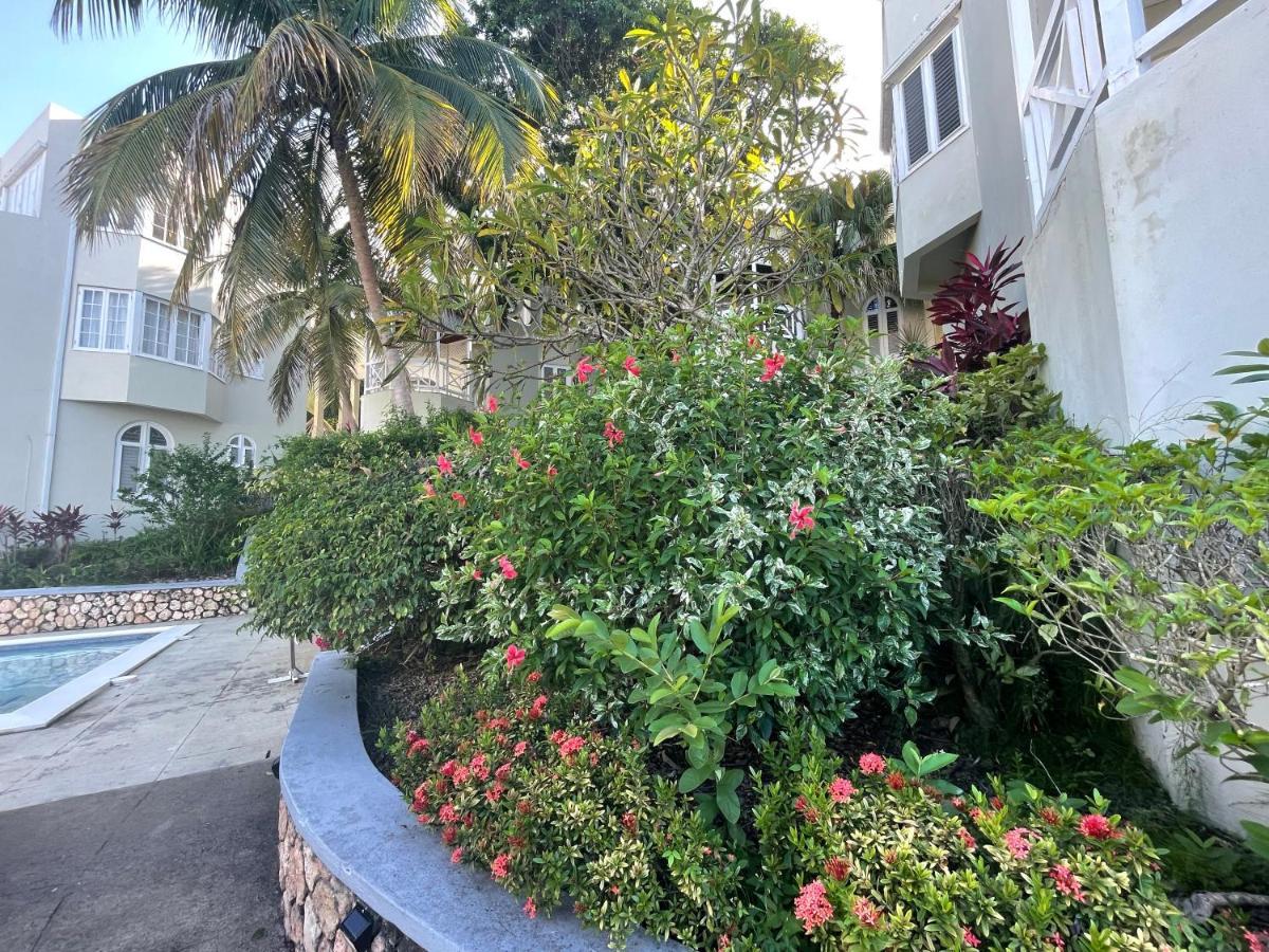 Hummingbird Retreat - Luxury Oceanview Apt, 7-minute Walk To Apartment Ocho Rios