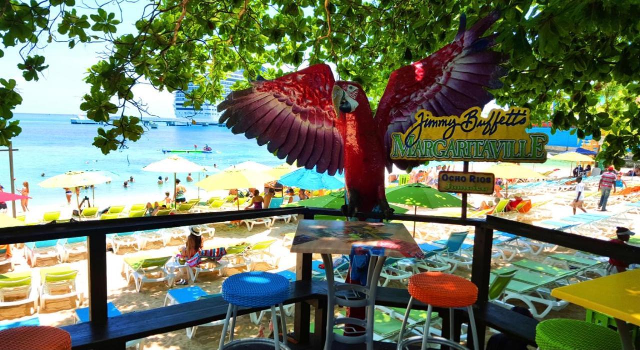 Hummingbird Retreat - Luxury Oceanview Apt, 7-minute Walk To Apartment Ocho Rios