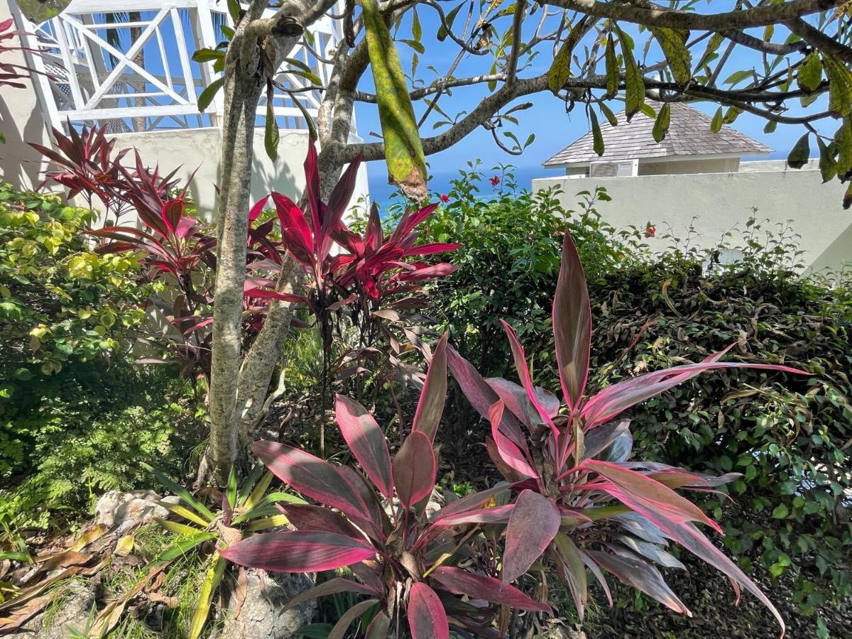 Hummingbird Retreat - Luxury Oceanview Apt, 7-minute Walk To *