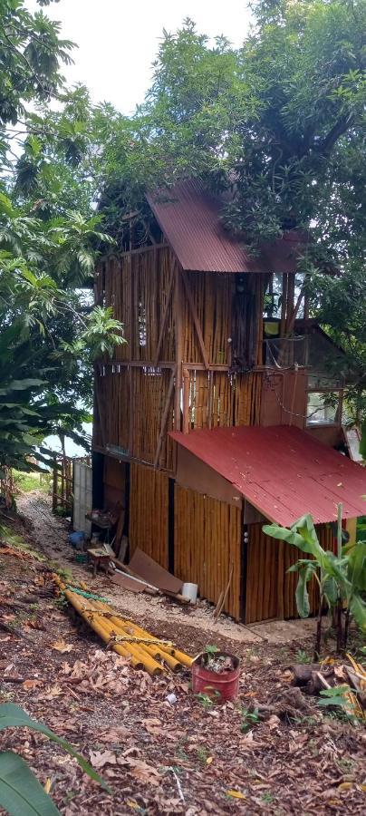 Apartment Treehouse Above The *