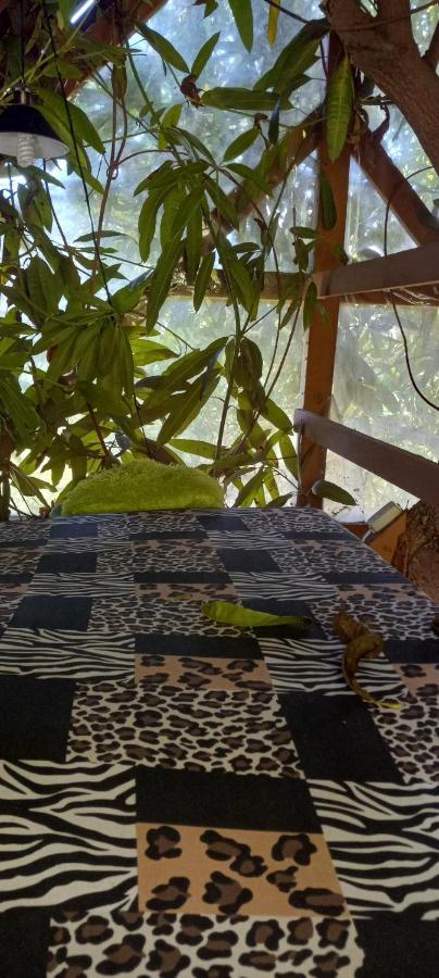 Treehouse Above The * Port Antonio