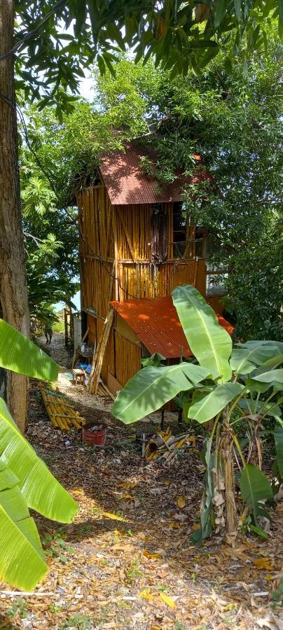 Apartment Treehouse Above The *