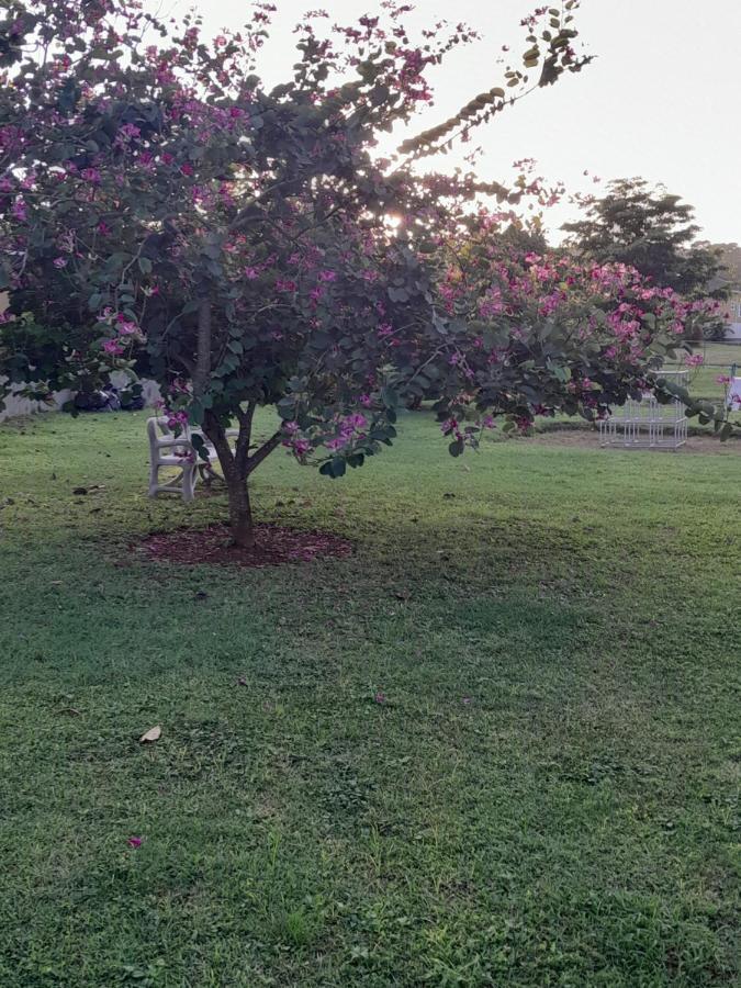Harmony La Vista Holiday home