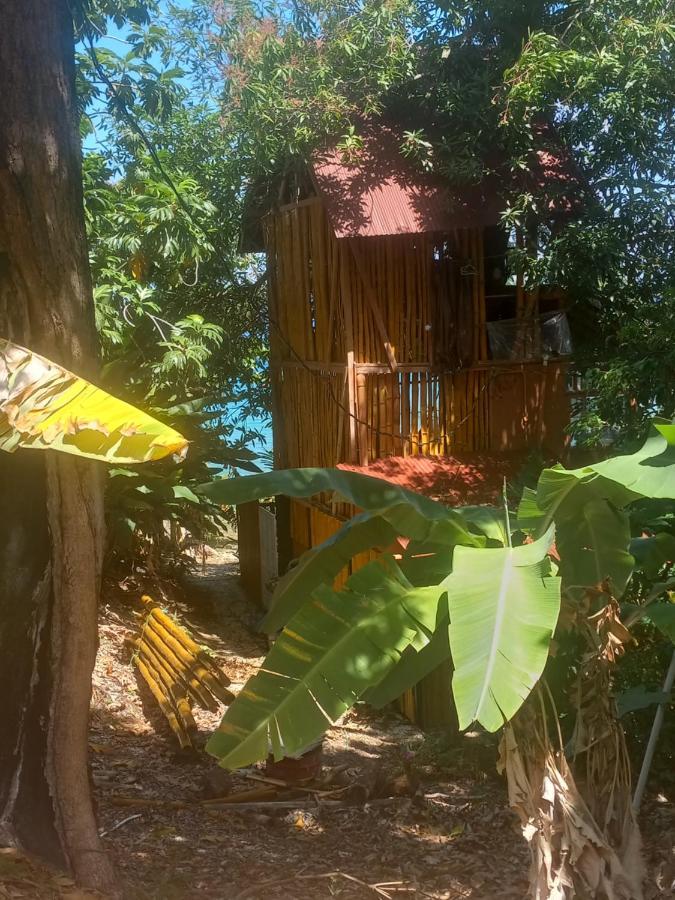 Treehouse Above The Apartment *
