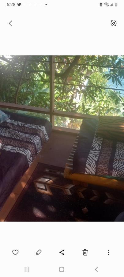 Treehouse Above The Apartment