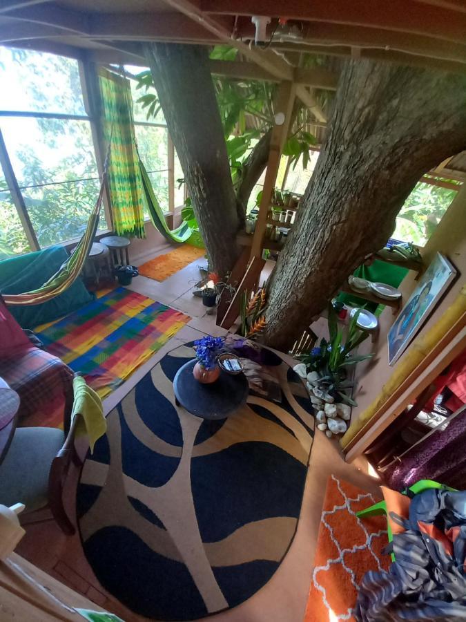 Apartment Treehouse Above The