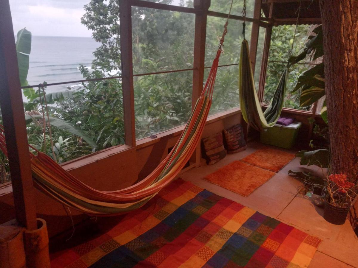 Treehouse Above The Apartment *
