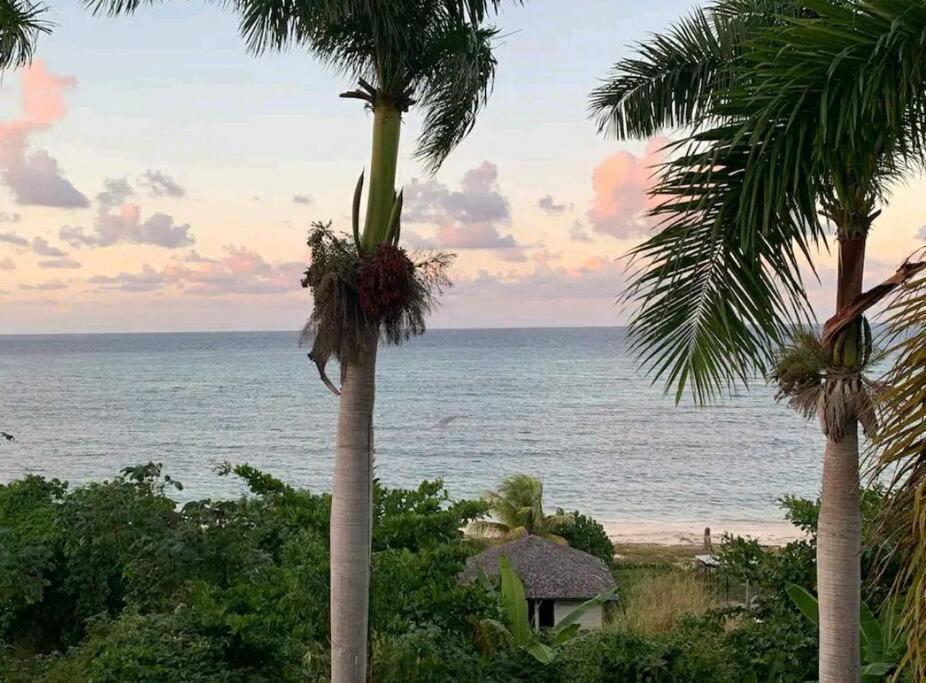Cozy W/ocean View, Pool & Access Apartment *