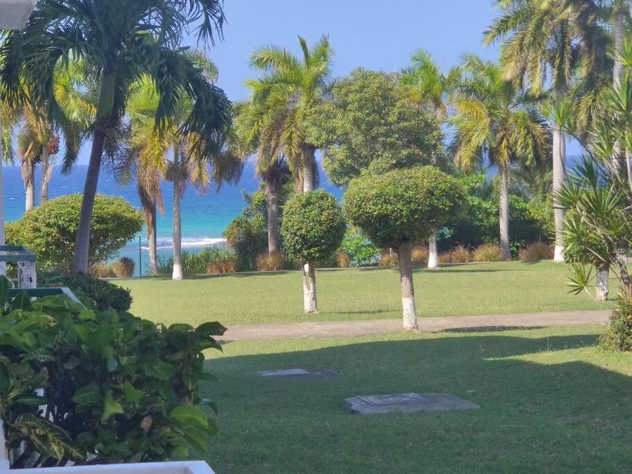 Cozy W/ocean View, Pool & Access Apartment *