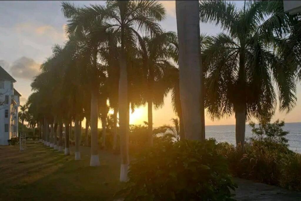 Cozy W/ocean View, Pool & Access Apartment *
