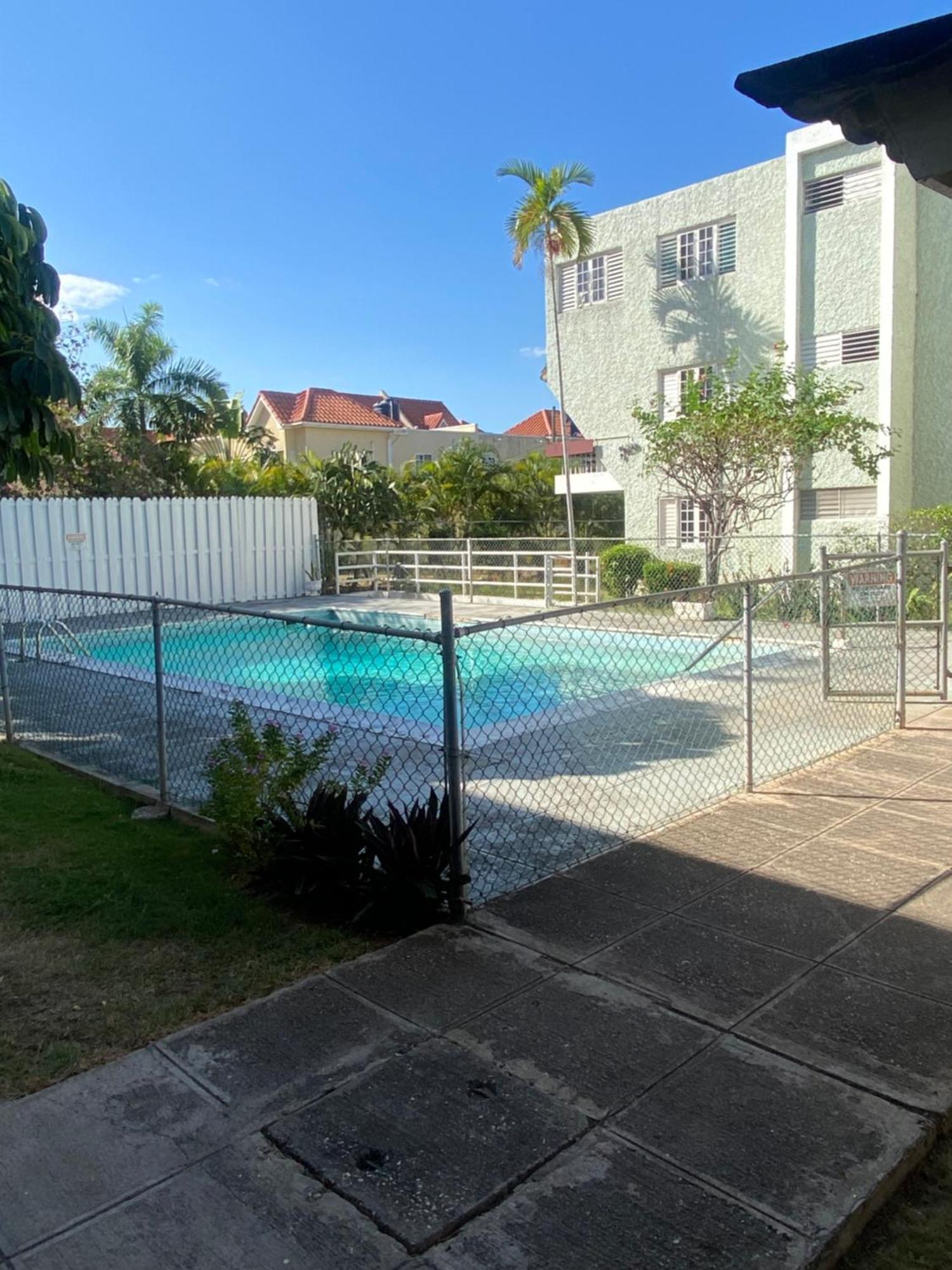 Hidden Oasis In * Kingston