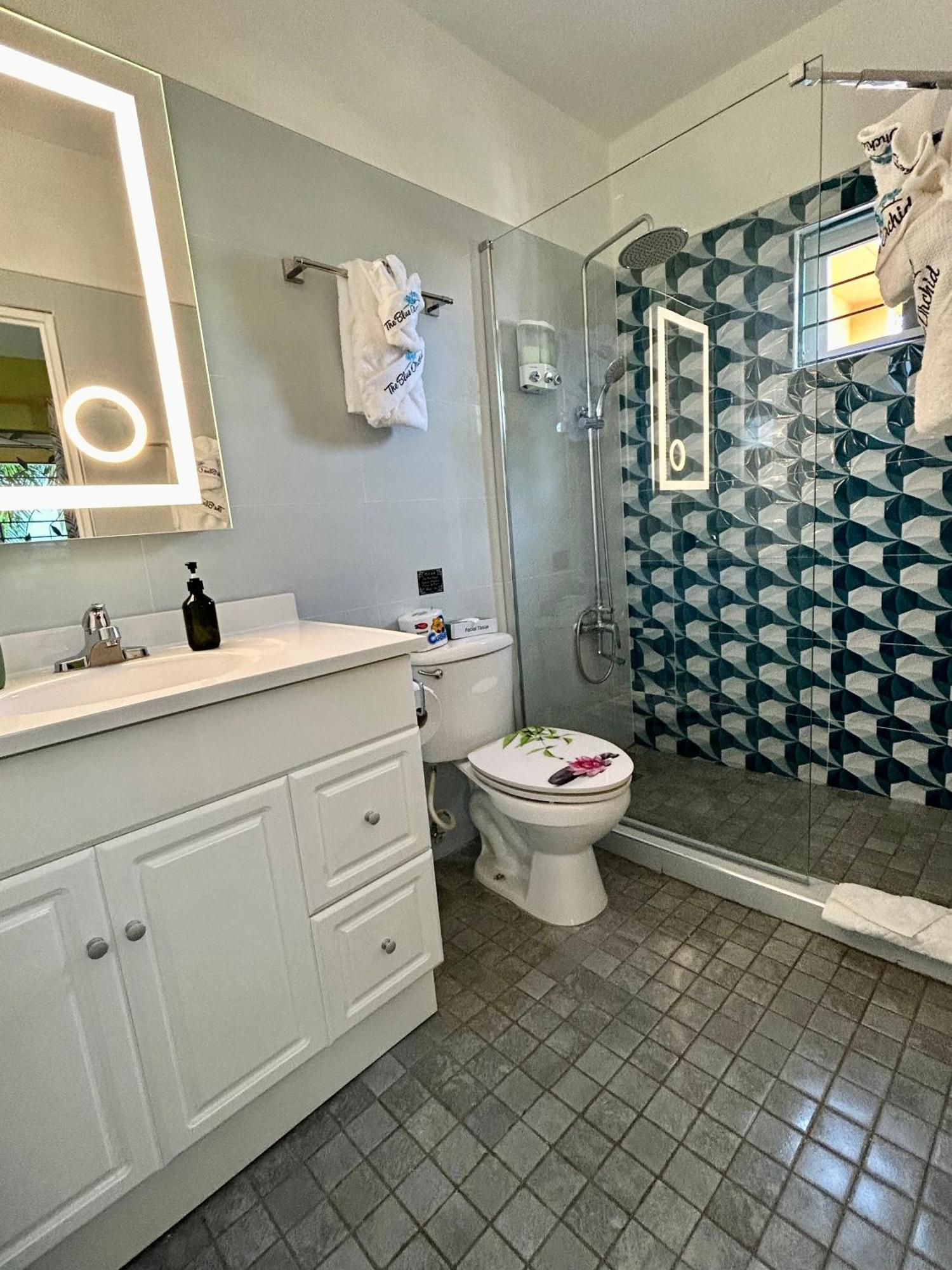 The Blue Orchid Bed and breakfast Montego Bay