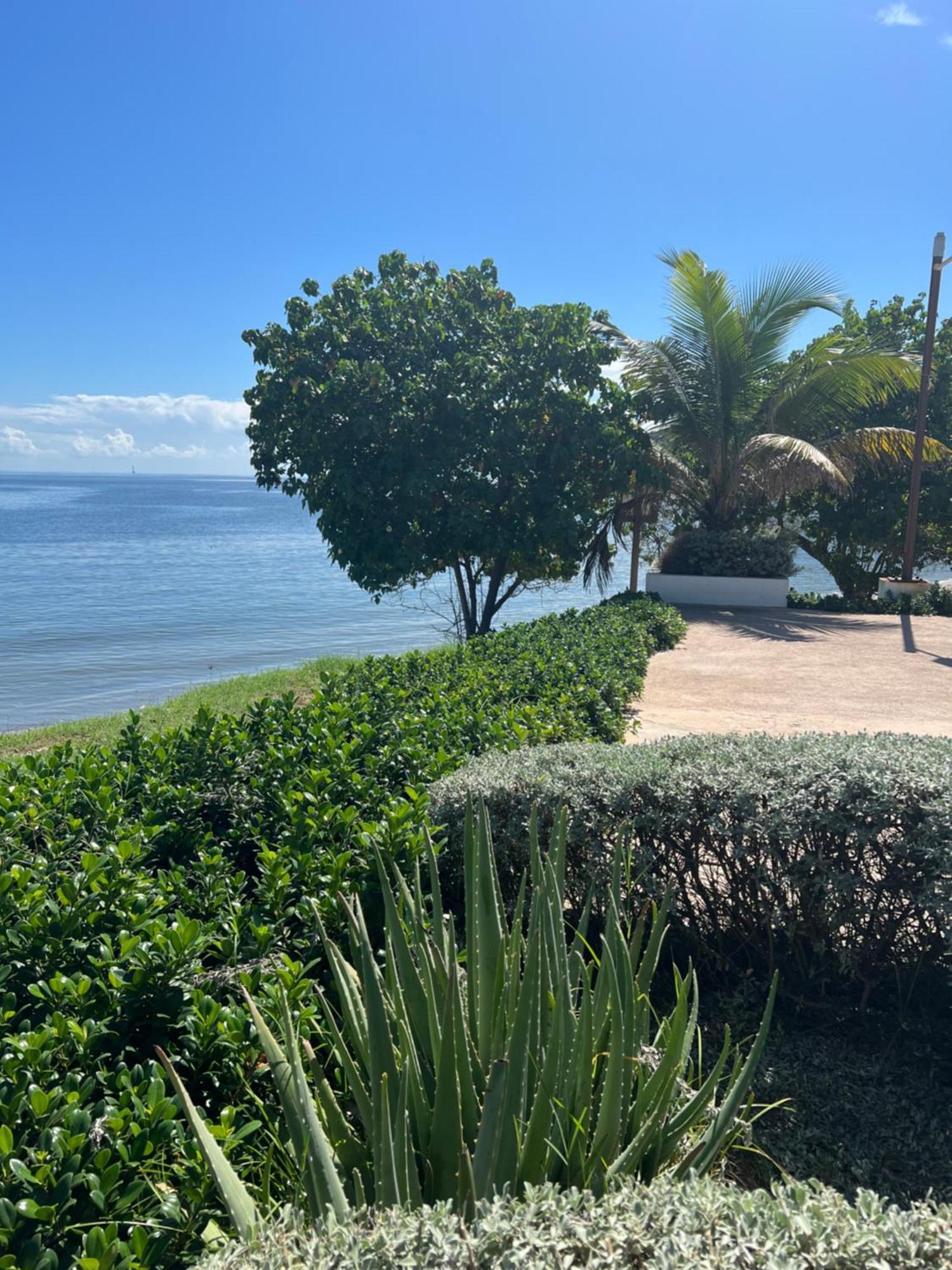 Apartment Bayfront &