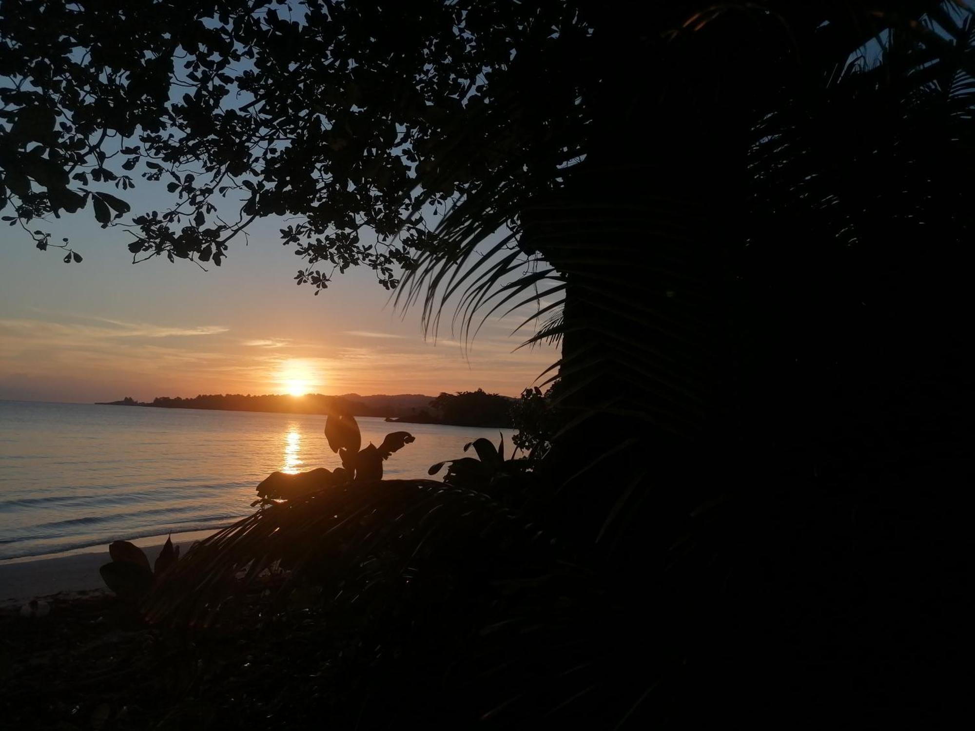 Bed & Breakfast Brian's House Port Antonio