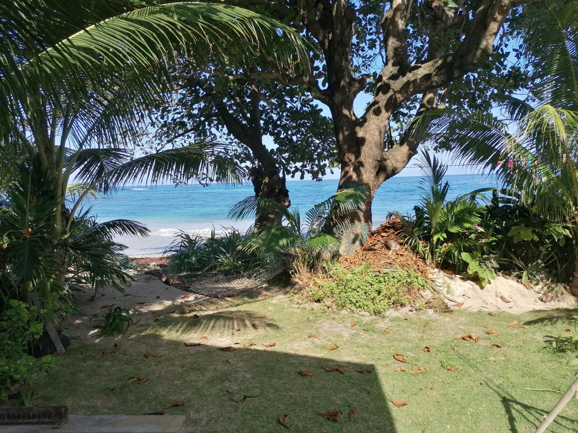 Bed & Breakfast Brian's House Port Antonio