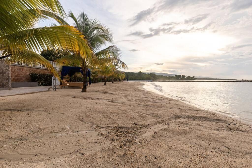 Serendipity On The Ocho Rios *