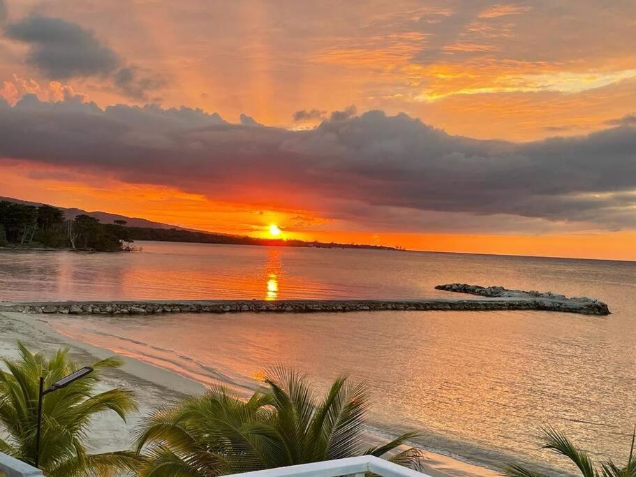 Serendipity On The Ocho Rios * Saint Ann's Bay