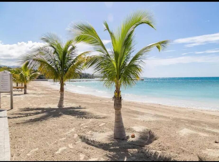 Serendipity On The Ocho Rios Villa *