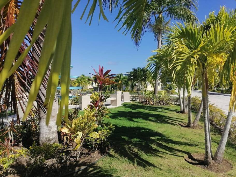 Serendipity On The Ocho Rios Villa Saint Ann's Bay