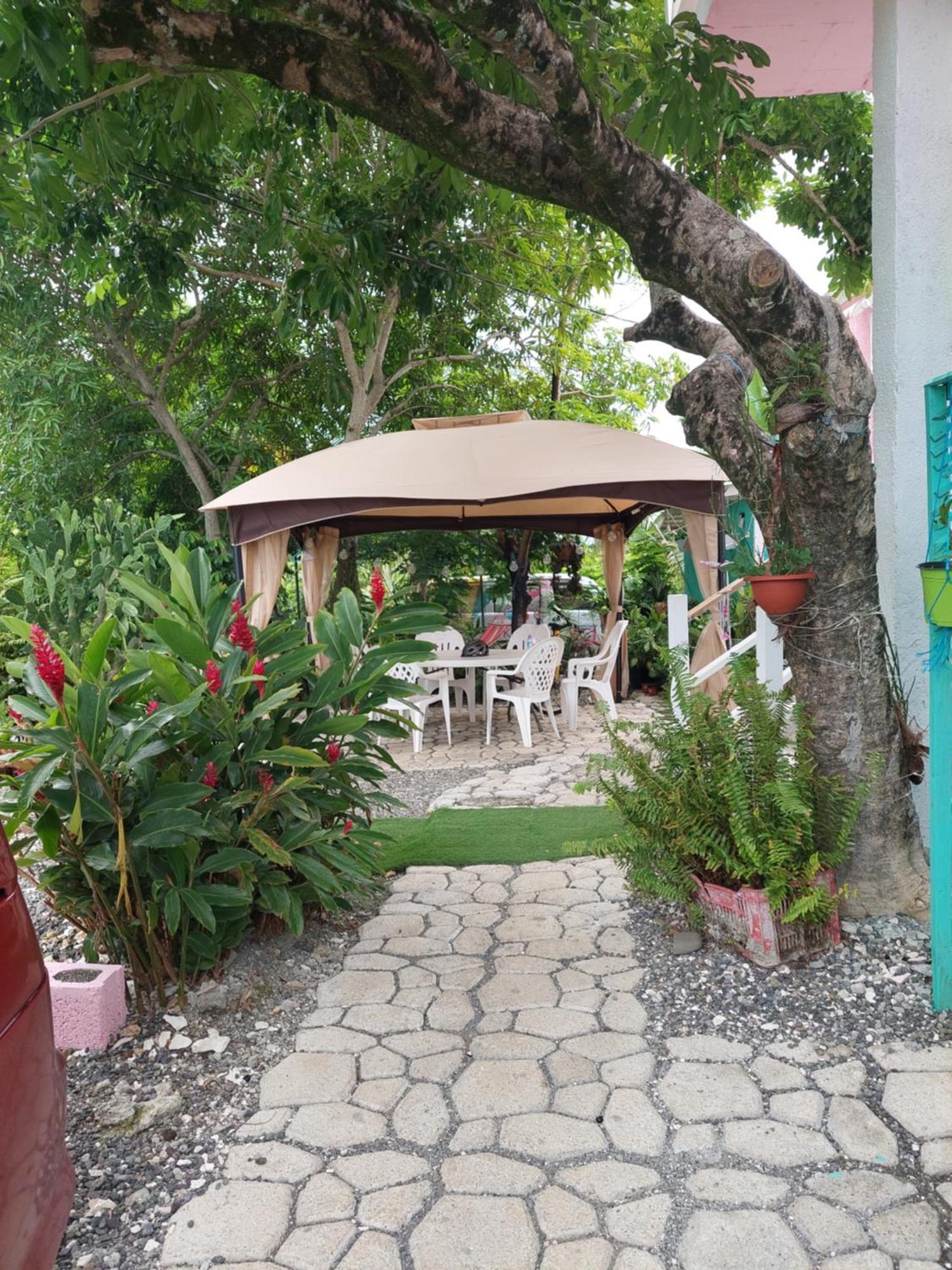 Alex's Place - Tim Pappies Apartment Port Antonio