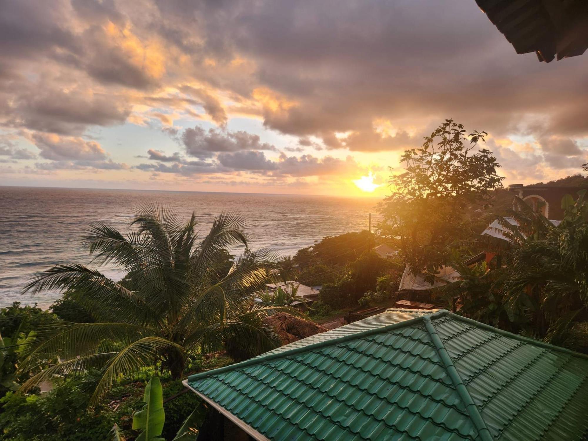 Rasta Portland Guest house *