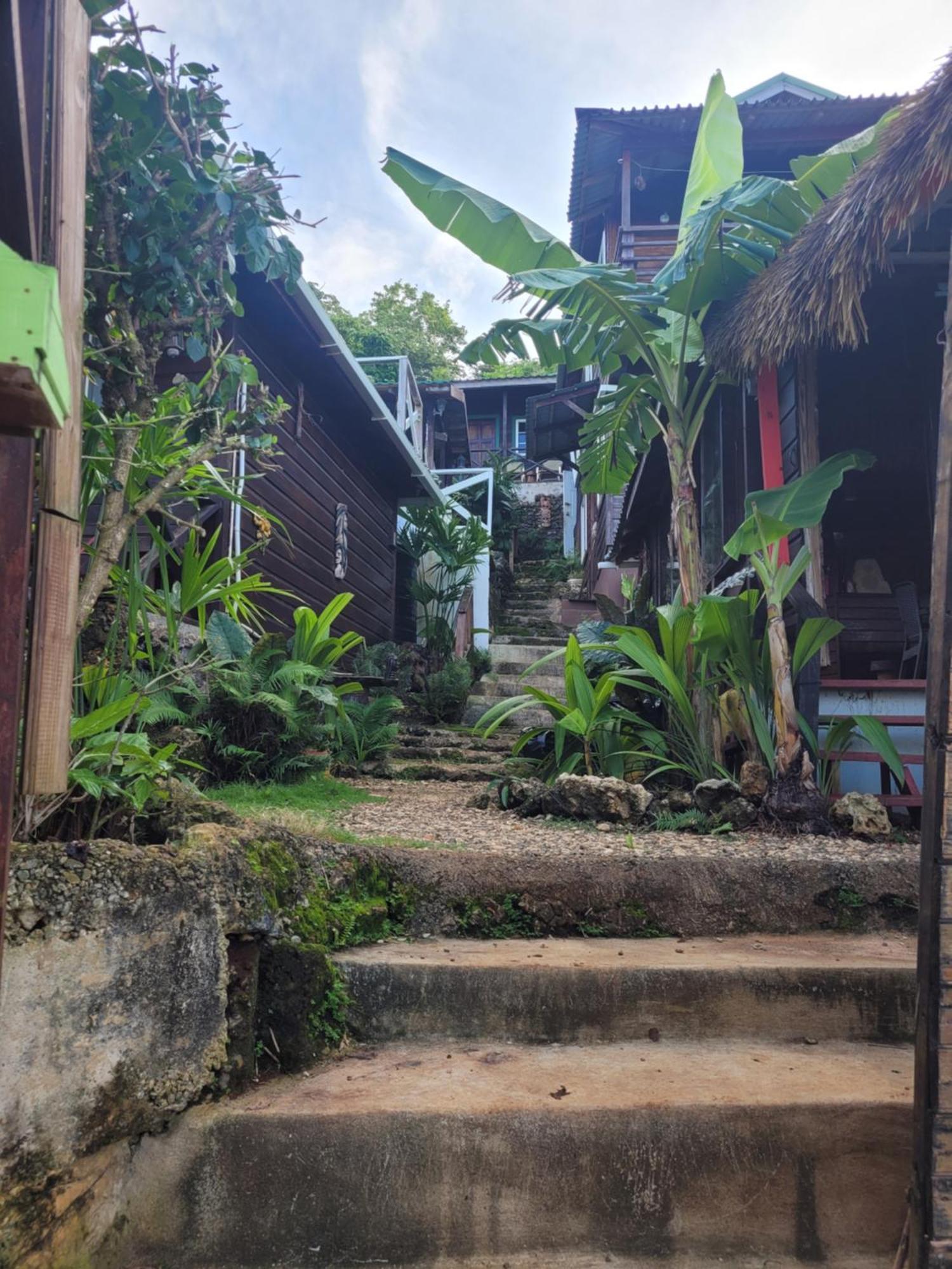 Guest house Rasta Portland Port Antonio
