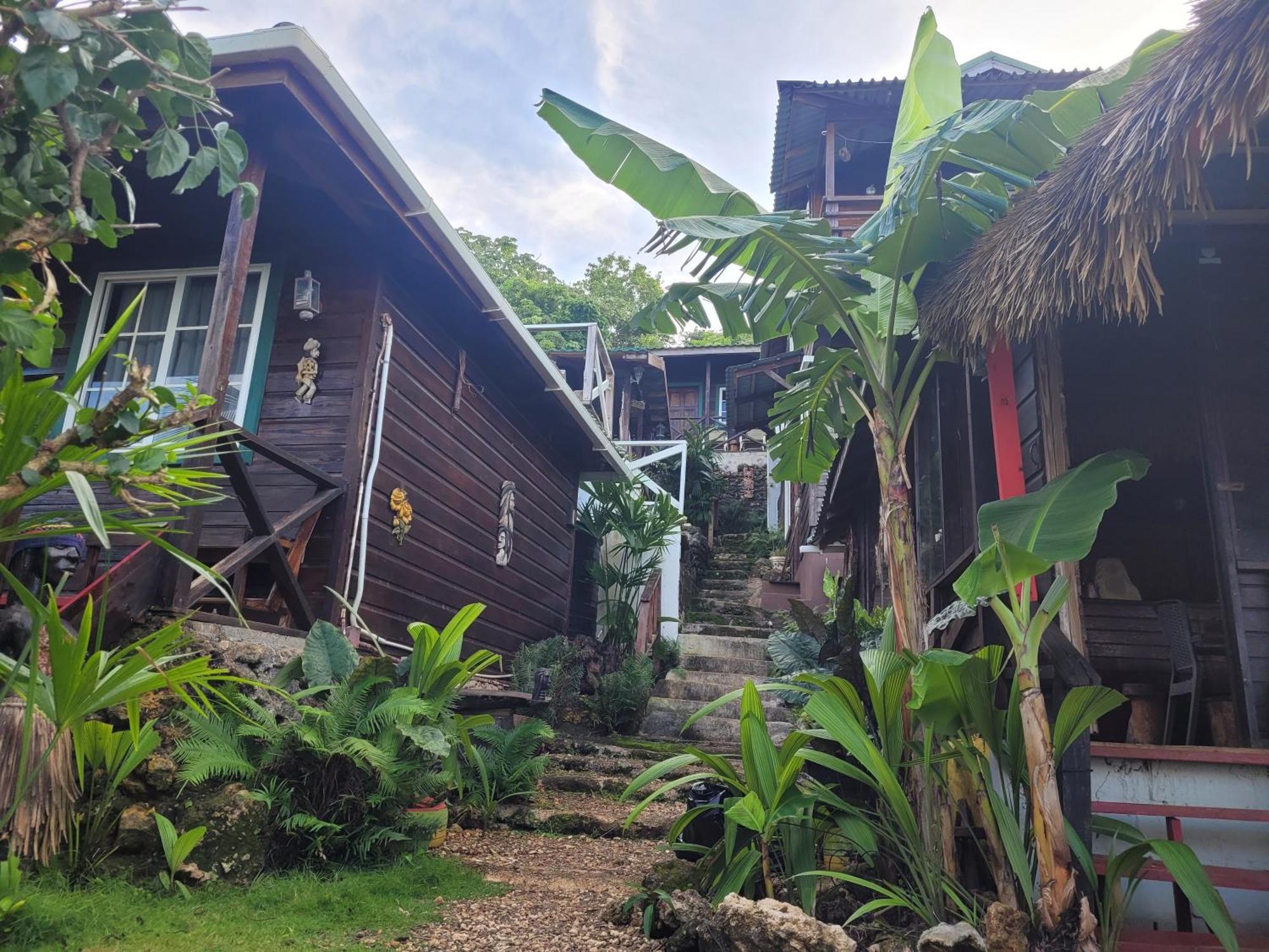 Rasta Portland Guest house *
