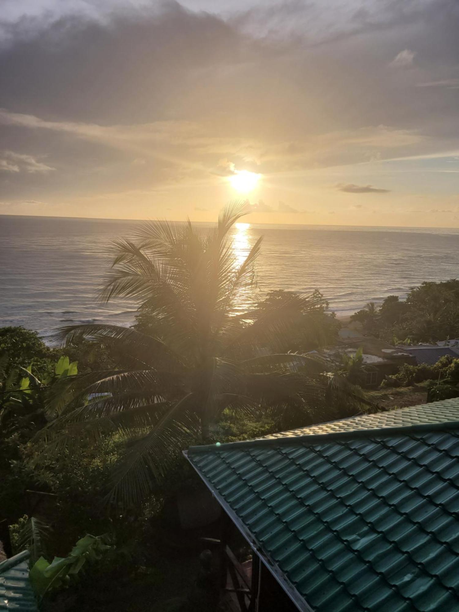 Rasta Portland Guest house *