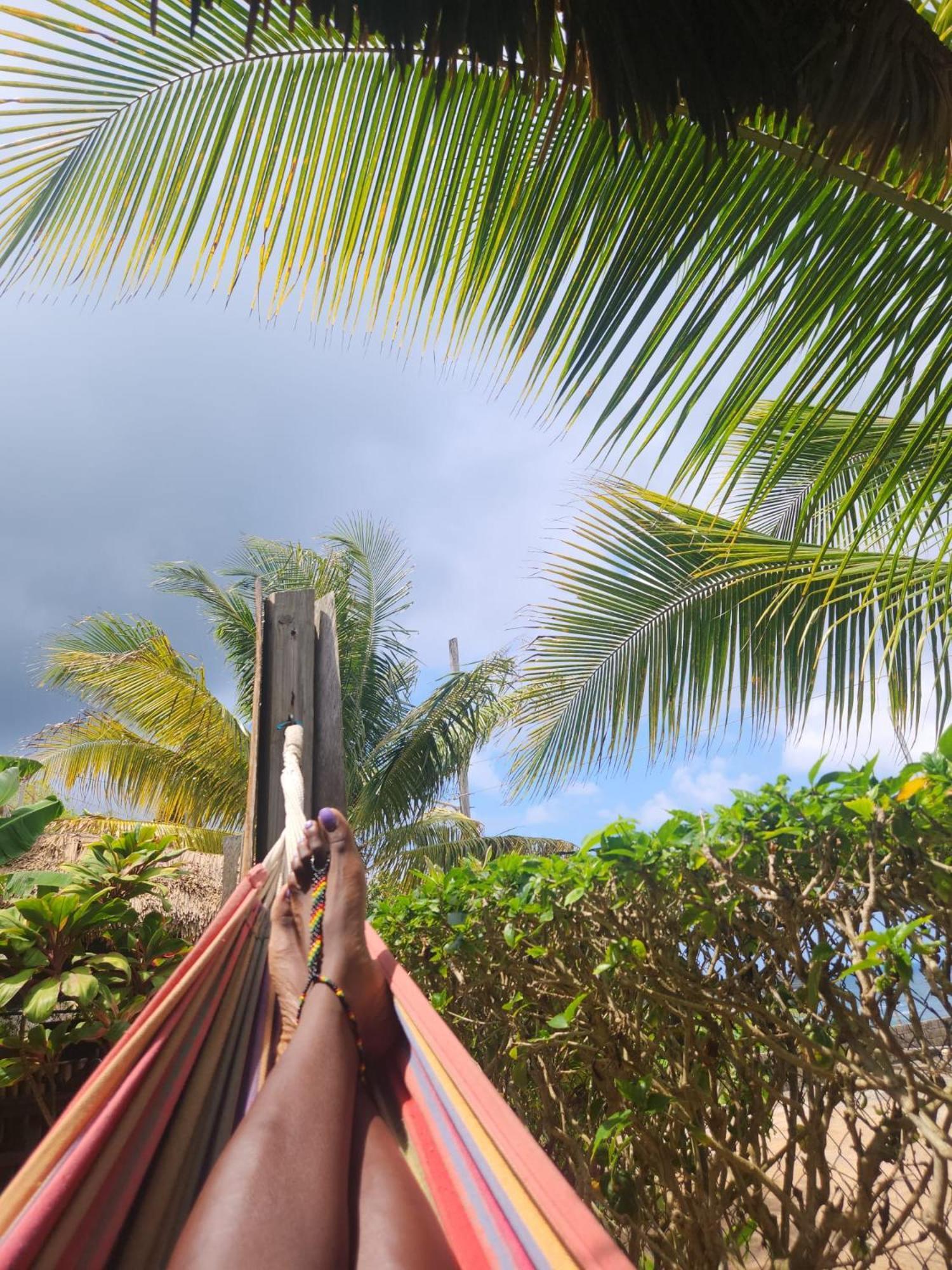 Rasta Portland Guest house Port Antonio