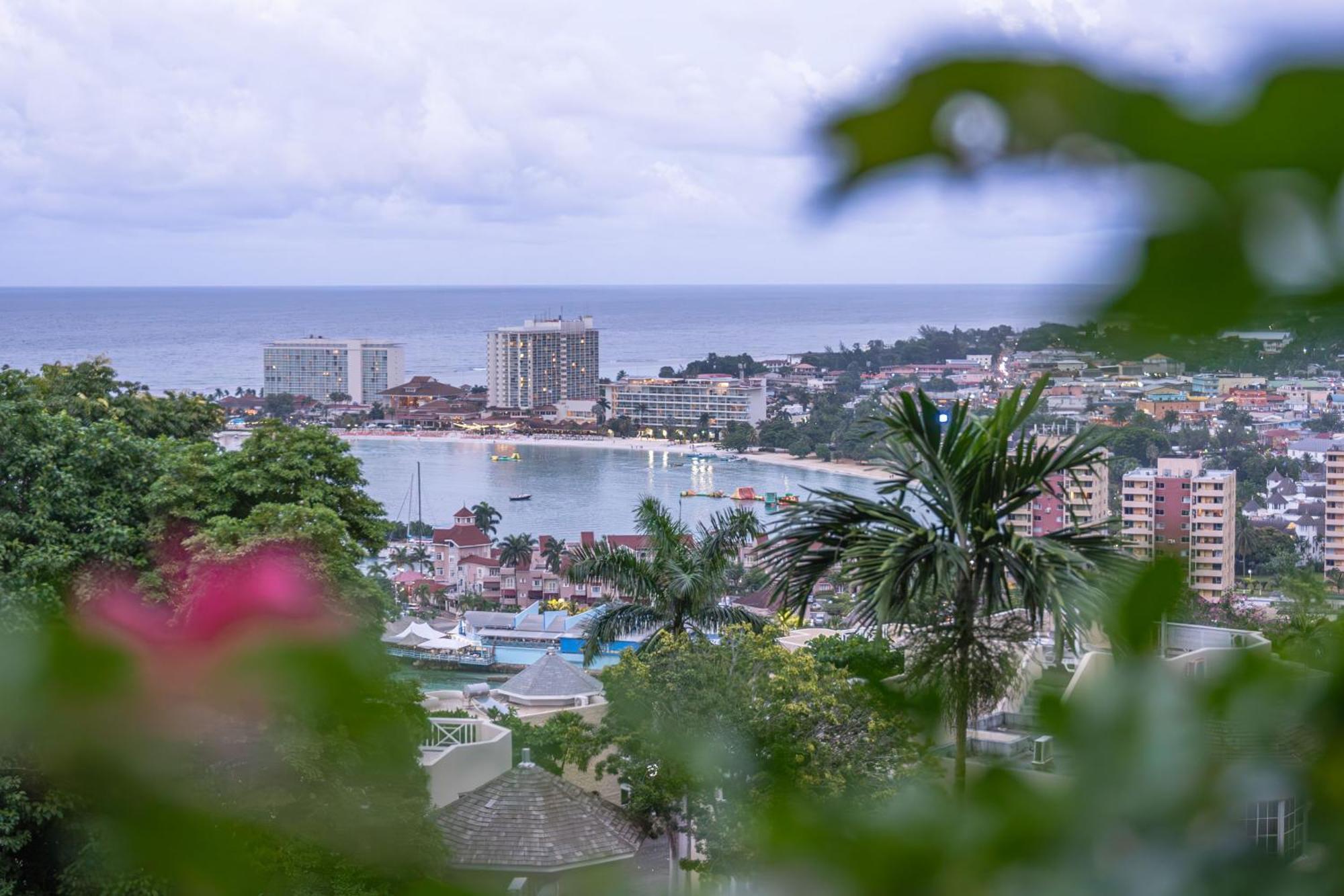 Hummingbird Retreat - Luxury Oceanview Apt, 7-minute Walk To Apartment *