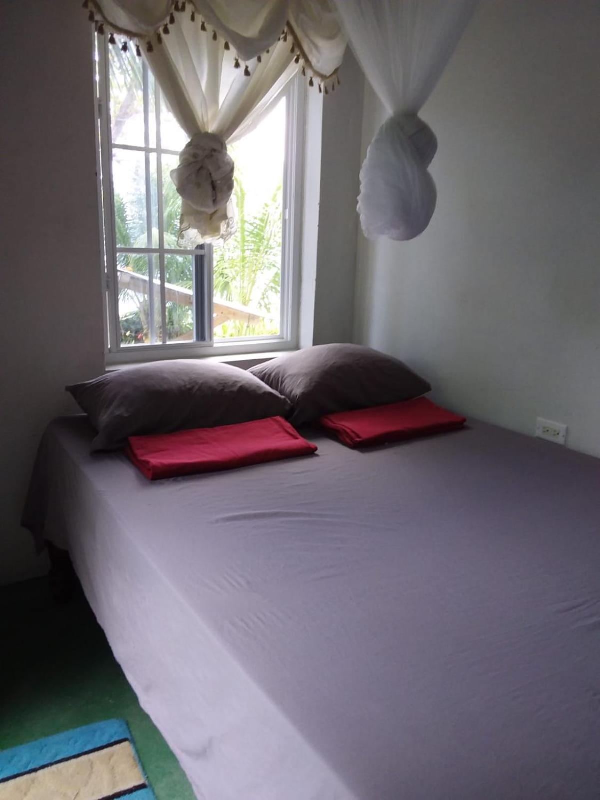 Brian's House * Port Antonio