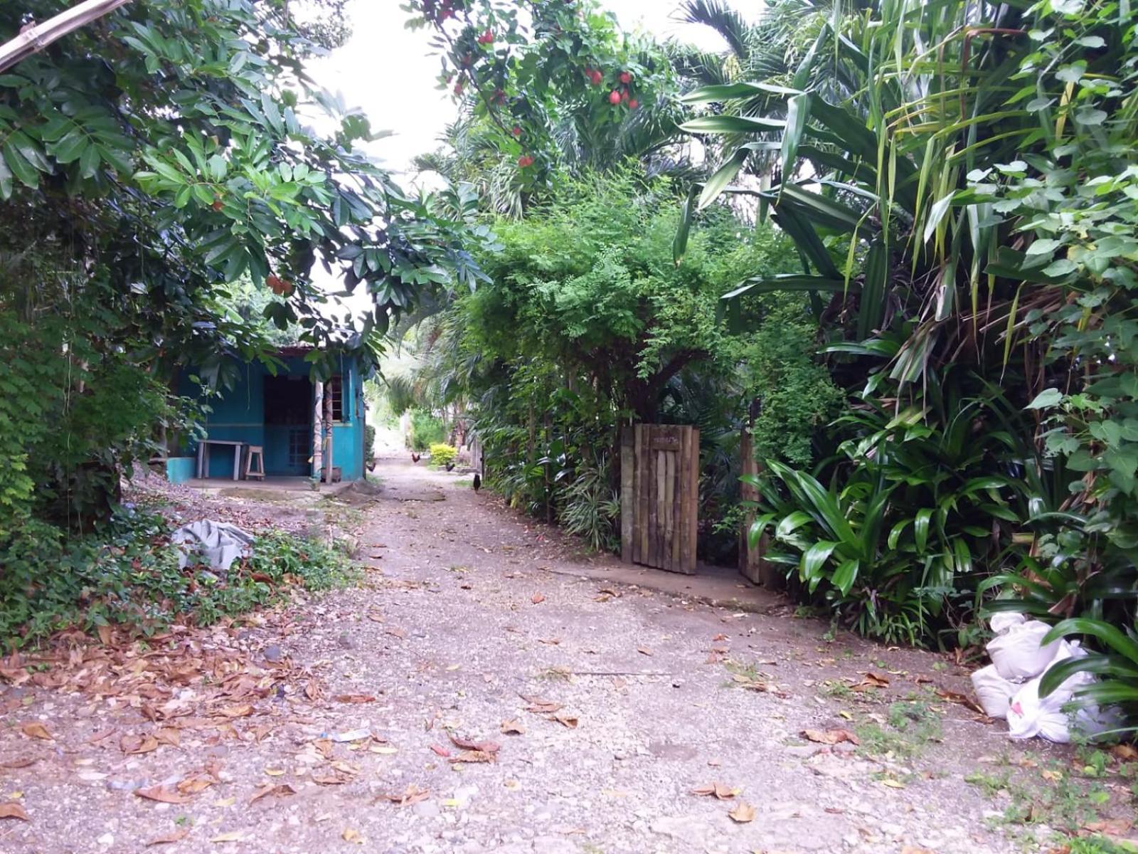 Brian's House Bed & Breakfast Port Antonio