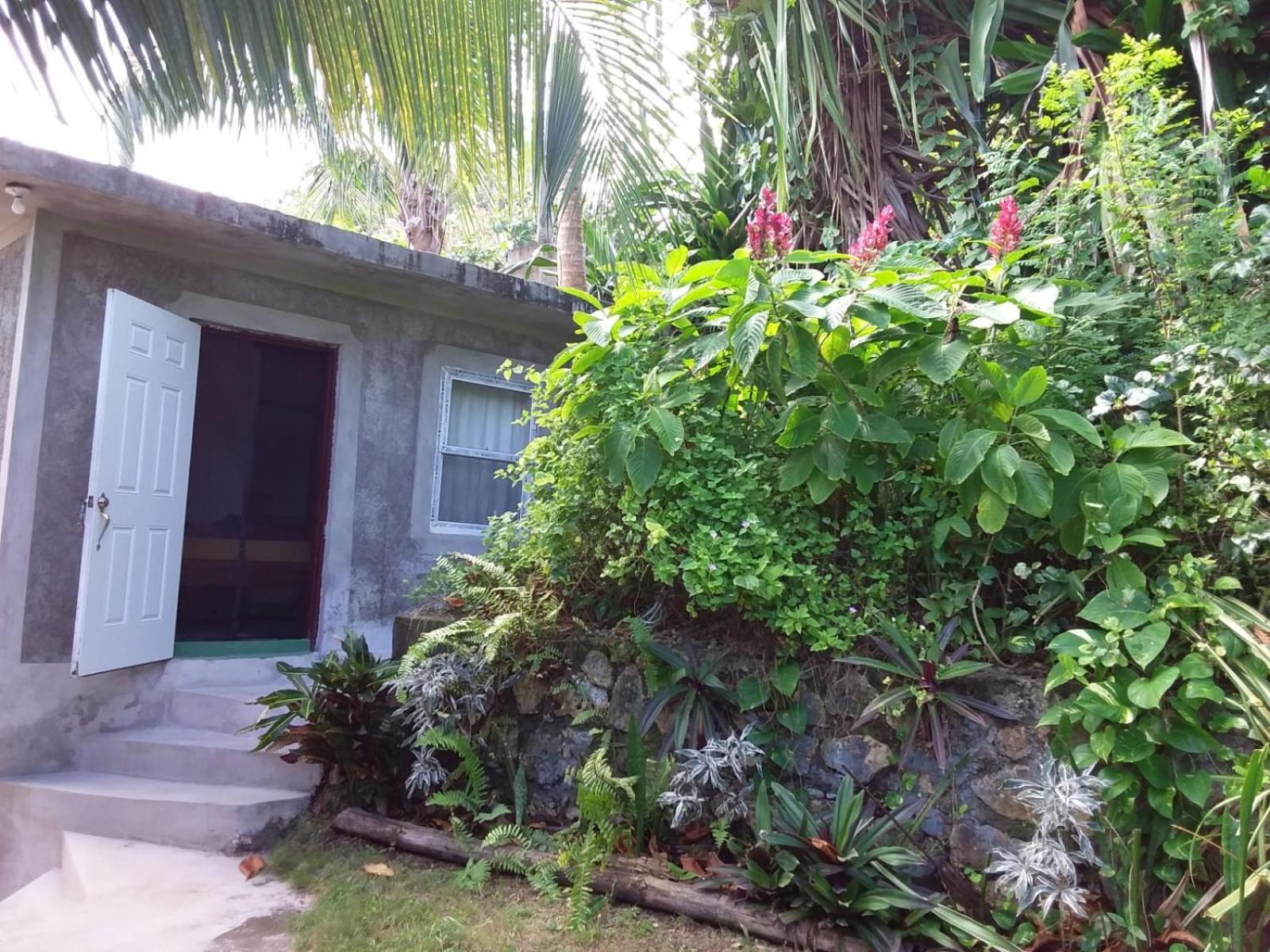 Brian's House Bed & Breakfast Port Antonio