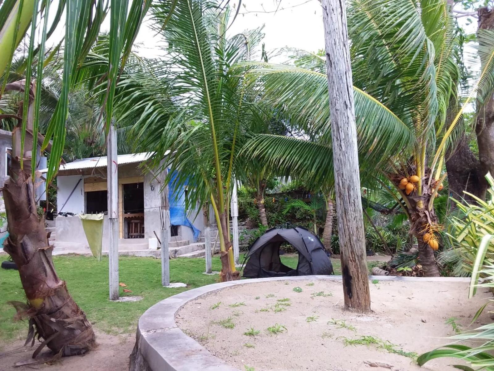 Brian's House Bed & Breakfast Port Antonio