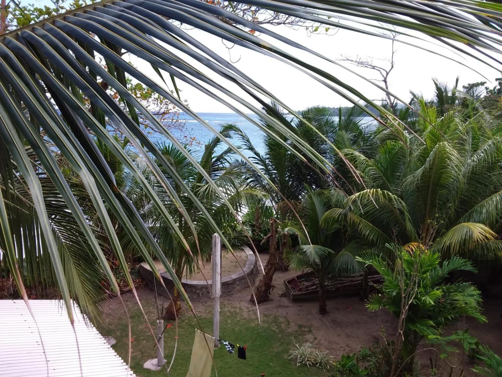 Brian's House Bed & Breakfast Port Antonio