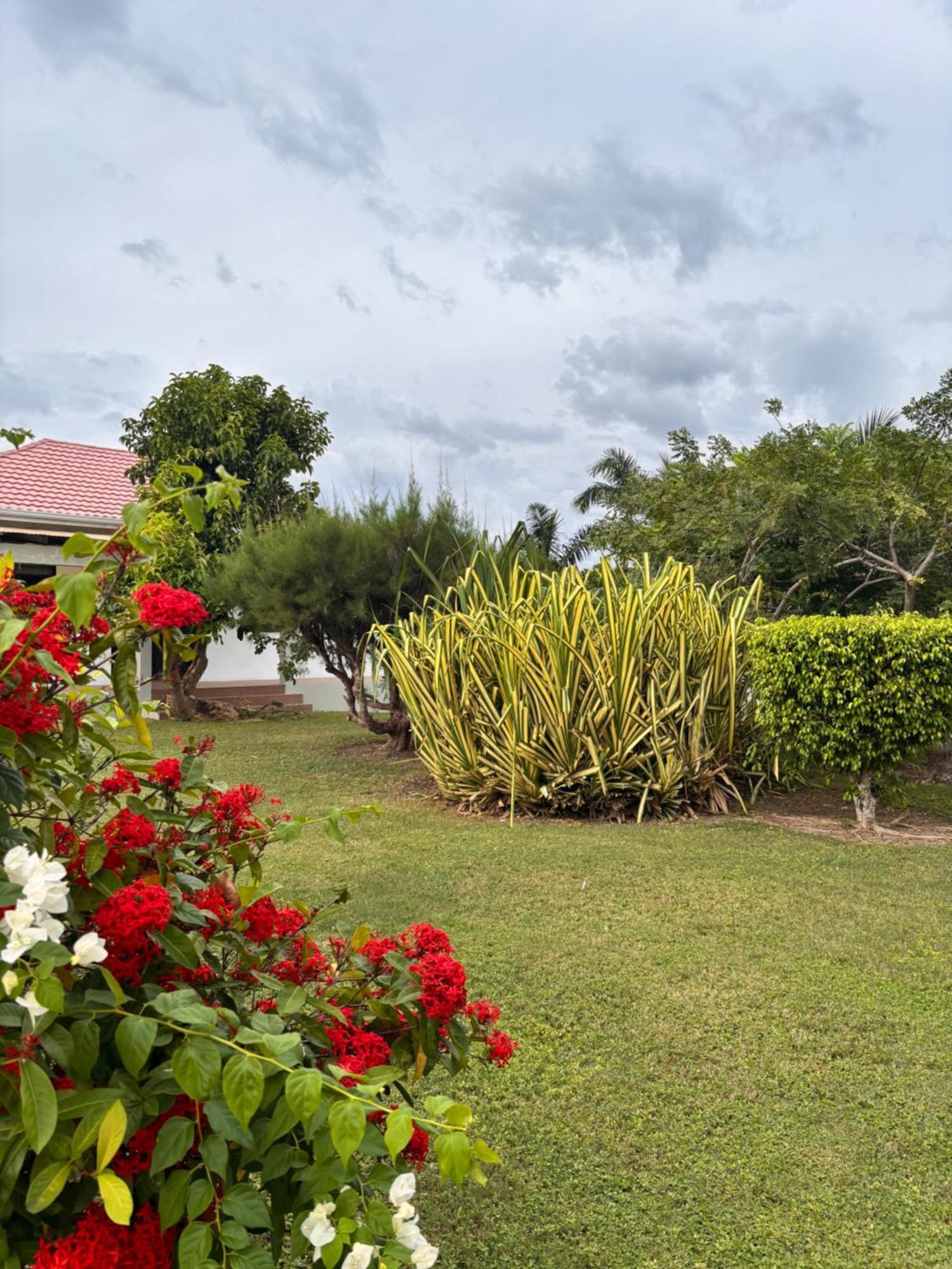 Villa Beachscape At Black River