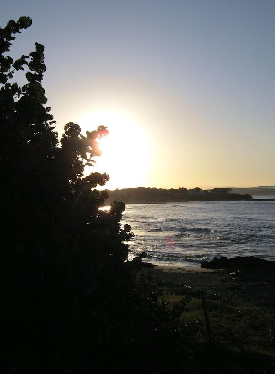 Pensión Kudehya Treasure Beach