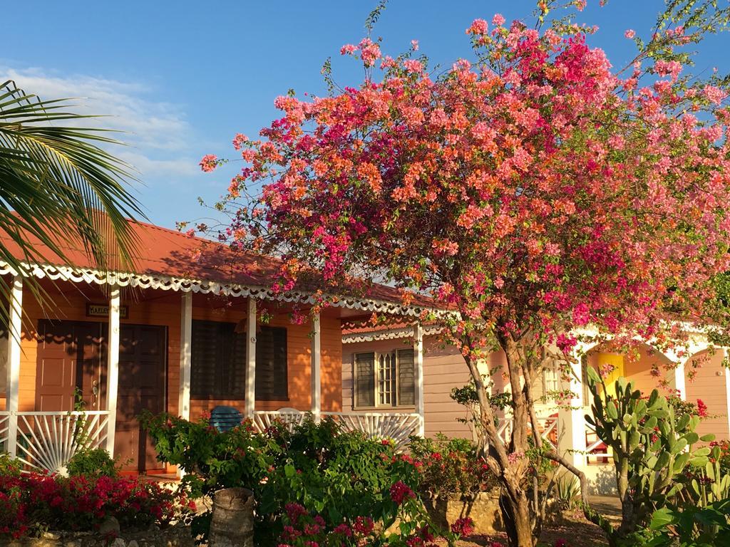 Parque de vacaciones Little Bay Cabins